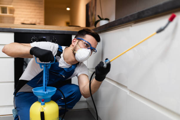 Best Pest Prevention Services  in Ammon, ID