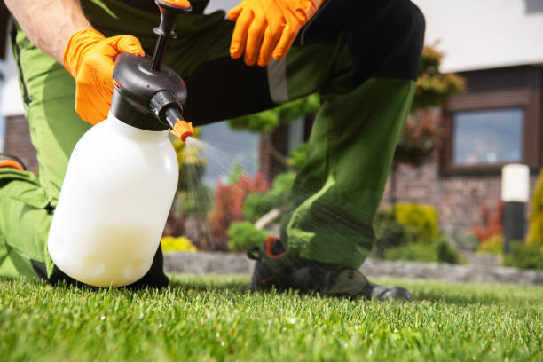 Best Best Pest Control Companies  in Ammon, ID