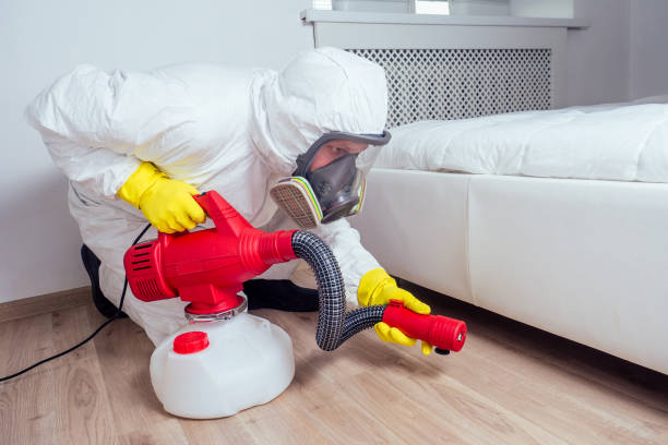 Pest Prevention Services in Ammon, ID