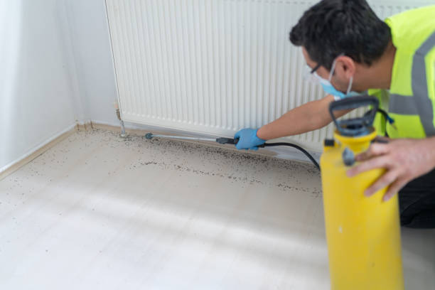 Best Bed Bug Extermination  in Ammon, ID